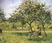 Camille Pissarro Wheelbarrow oil painting reproduction